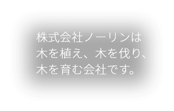 株式会社ノーリンは木を植え、木を伐り、木を育む会社です。