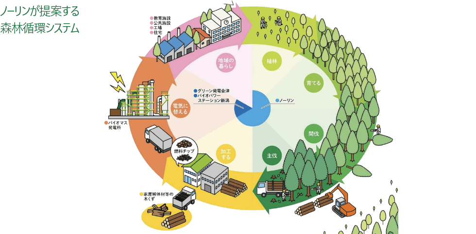 ノーリンが提案する森林循環システム